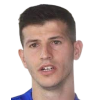 Branimir Cipetic
